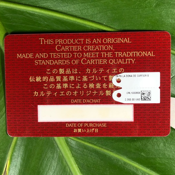 Authentic Cartier La Dona Frame Chain Bag - Picture 7 of 8